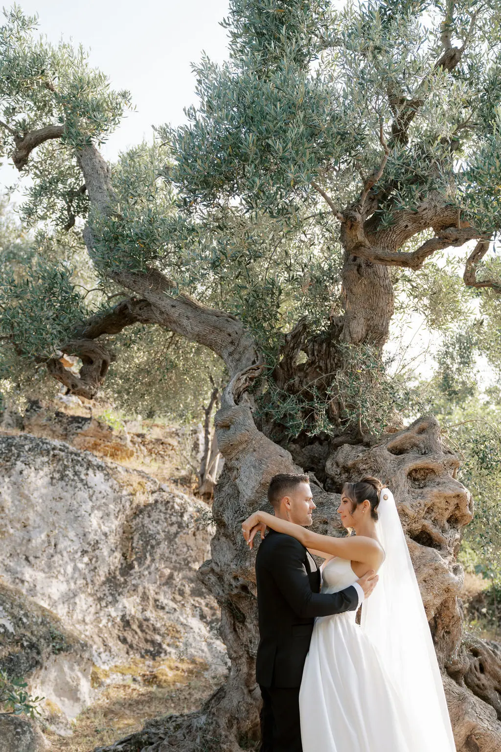 A couple embracing beneath an ancient olive tree in Puglia